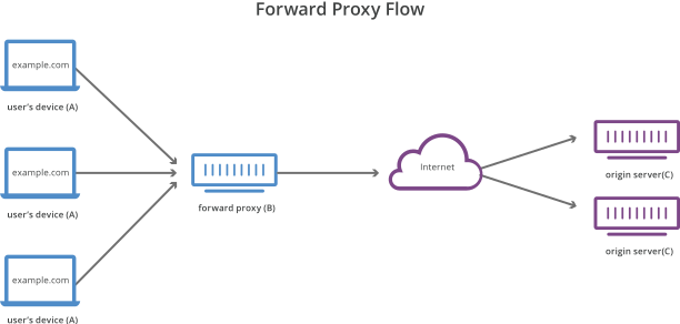Forward proxy flow