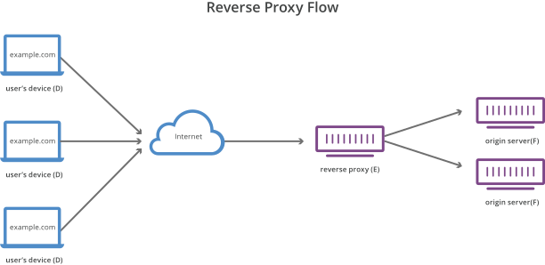 Reverse proxy flow