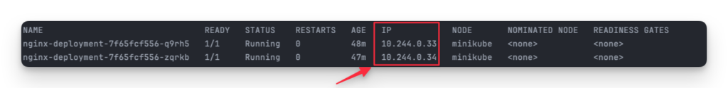 View Pod IP address